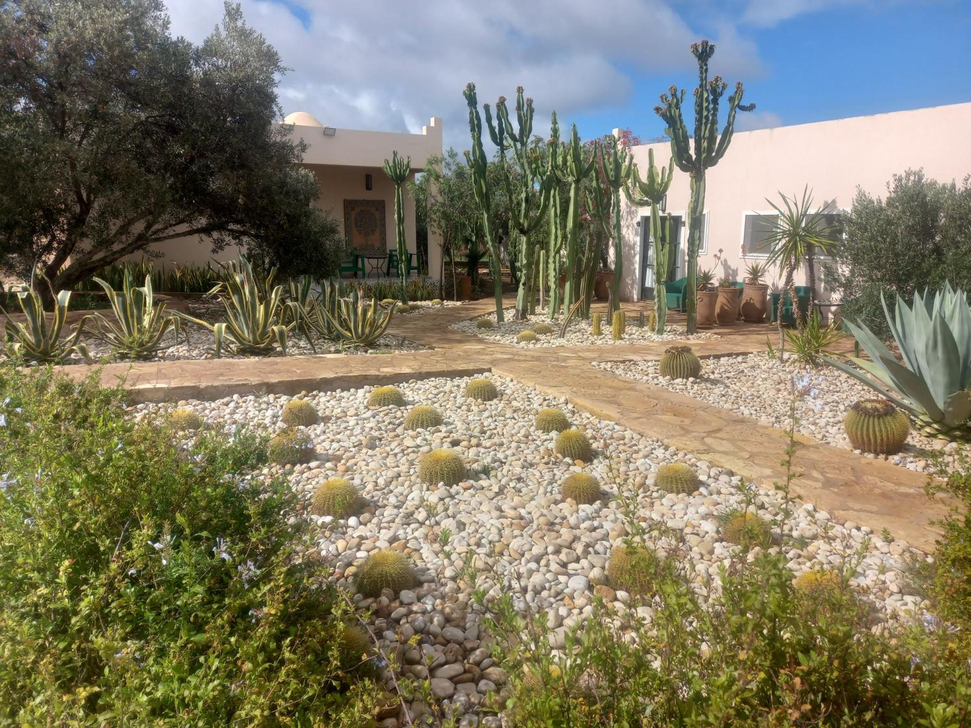 Les Jardins De Mogador Yoga Et Spa 索维拉 外观 照片